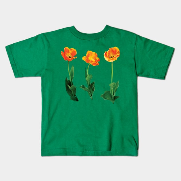 Three Tulips in a Row Kids T-Shirt by SusanSavad
